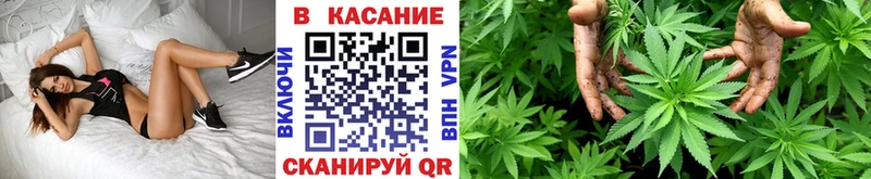 Бошки Шишки Соль-Илецк